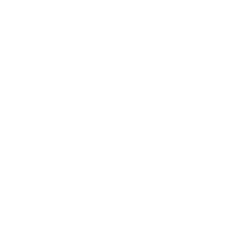 iconplay